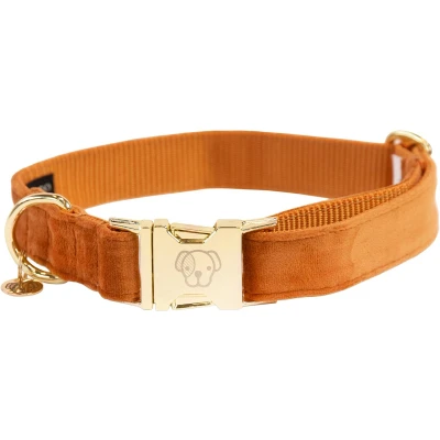 Afbeelding van Kentucky Dogwear Hondenhalsband Velvet Oranje 25 38 cm XS Hondenriem