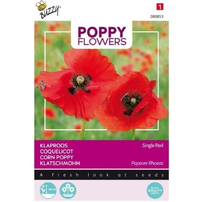 Afbeelding van Poppies of the world klaproos rhoeas rood Buzzy