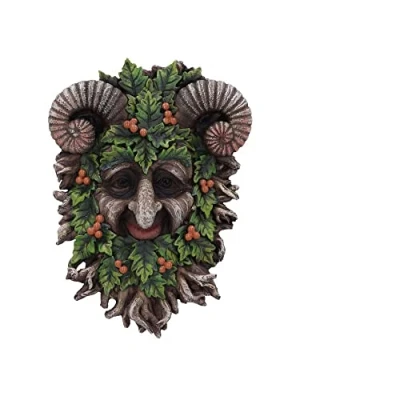 Afbeelding van Nemesis Now Muurdecoratie Rawan 21.3cm Multicolours