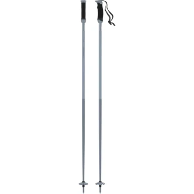 Afbeelding van Atomic Amt Sqs Stokken Zilver 120 cm