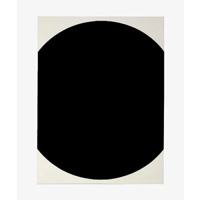 Afbeelding van Ellsworth Kelly