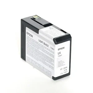 Image de Epson T5807 Light Black