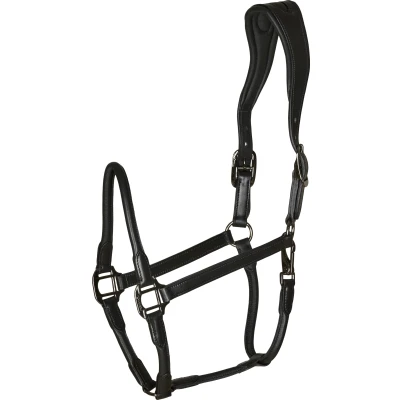 Image de Catago Licol en Cuir Noir XFull