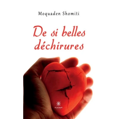 Image de De si belles déchirures