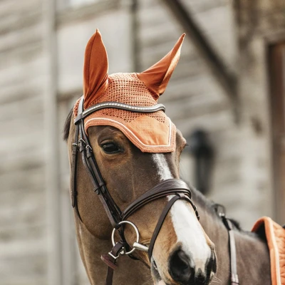 Afbeelding van Kentucky Oornetje Wellington Velvet Oranje Cob Agradi.be