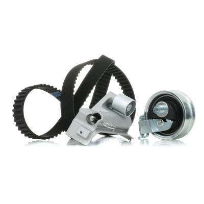 Afbeelding van Distributieriemset SKF VKMA 01935