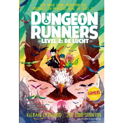 Afbeelding van Dungeon Runners Level 2: De lucht
