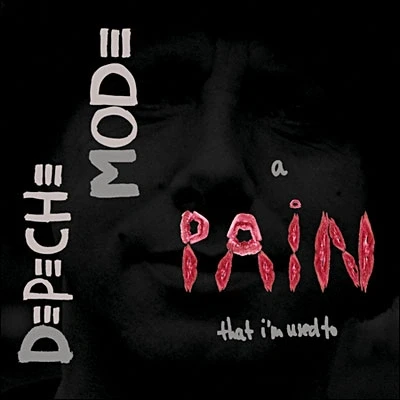 Afbeelding van Pain That I&#039;m Used To