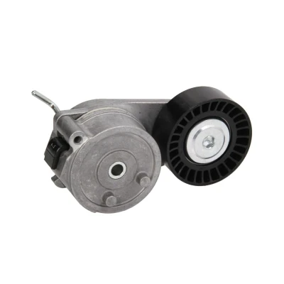 Afbeelding van DAYCO APV2799 Riemspanner
