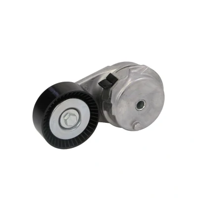 Afbeelding van Riemspanner, Poly V riem DAYCO APV2959