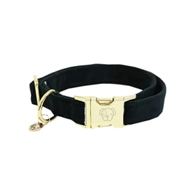 Image de Collier de chien corduroy pine green S&#039;28 40cm