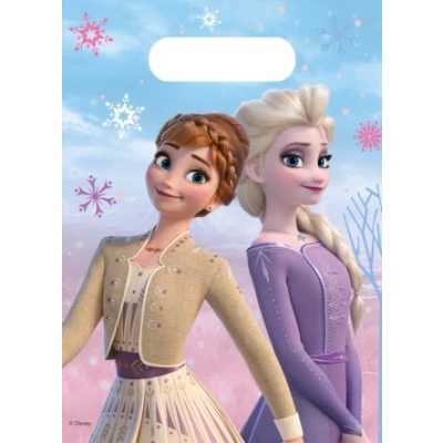 Image de Sacs Frozen Wind Spirit 6 morceaux