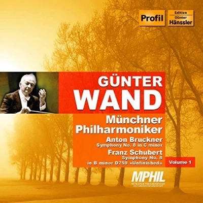 Afbeelding van Bruckner: Symphony No.8 2 Cd