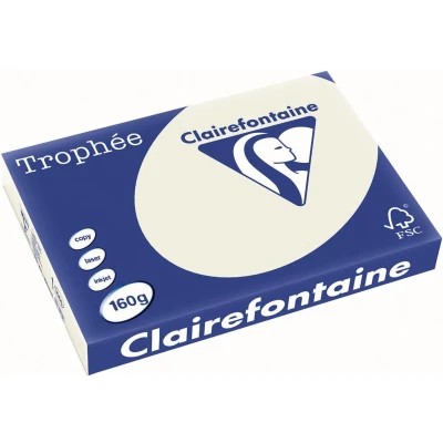 Afbeelding van Clairefontaine Trophée Pastel, Gekleurd Papier, A3, 160 G, 250 Vel, Parelgrijs Papier
