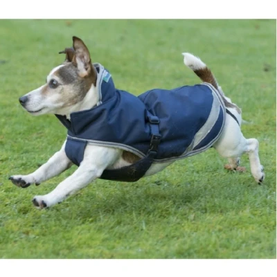 Afbeelding van Bucas Freedom Dog Rug 300gr Navy 65cm Agradi.be