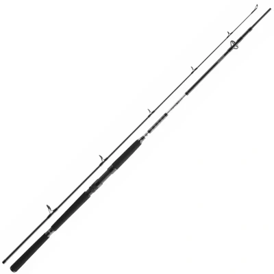 Afbeelding van Daiwa BG Pilk 2,40m 40 125g Boothengel