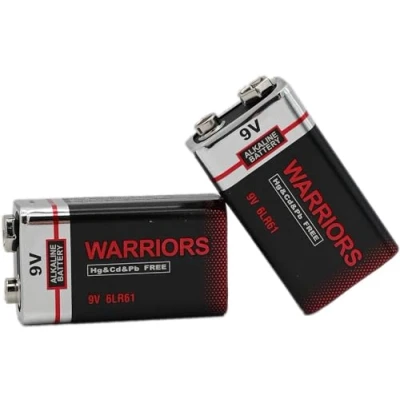 Afbeelding van Warriors 2 stuks alkalinebatterijen met hoge capaciteit 9 V, alkalinebatterijen, super lange levensduur, rookmelder voor auto