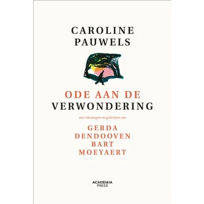 Image de Ode aan de verwondering