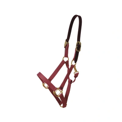 Image de Kentucky Horsewear Licol Breakaway Nylon BordeauxVendu par Agradi