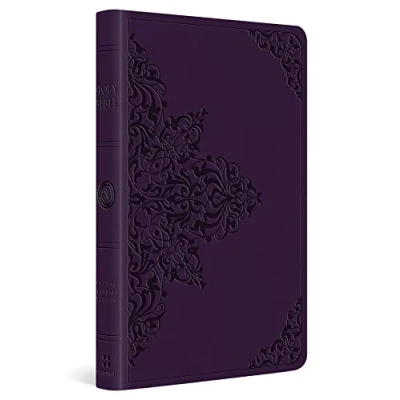 Afbeelding van ESV Large Print Value Thinline Bible