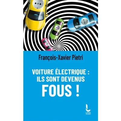Image de Voiture électrique : ils sont devenus fous !