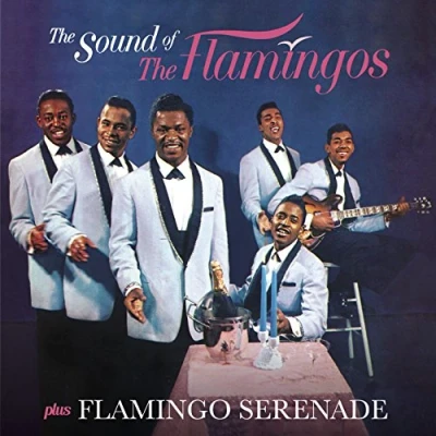 Afbeelding van The Sound Of Flamingos + Flamingo Serenade