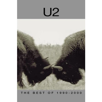 Afbeelding van U2 Best Of 1990 2000