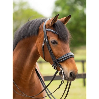 Afbeelding van Hb Stang En Trens Showtime All You Needed Zwart blauw