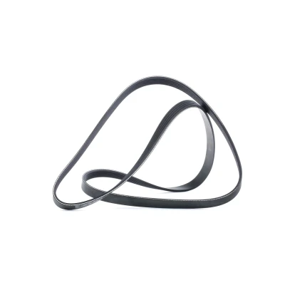 Afbeelding van Poly V riem DAYCO 5PK1545