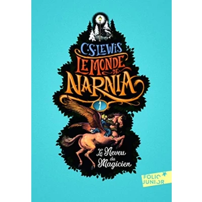 Afbeelding van Le neveu du magicien