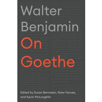 Afbeelding van Cultural Memory in the Present On Goethe
