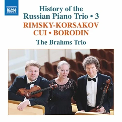 Afbeelding van The Brahms Trio History Of Russian Piano Trio, Vol. 3 (CD)