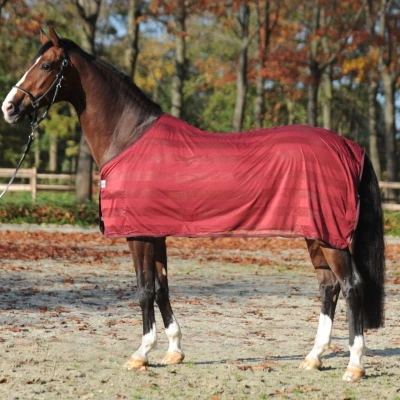 Afbeelding van Kavalkade Vliegendeken Stripe Bordeaux 135/185