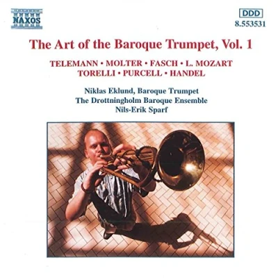 Afbeelding van Niklas Eklund Art Of The Baroque Trumpet 1 (CD)