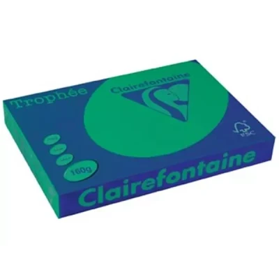 Afbeelding van Clairefontaine Trophée Intens, Gekleurd Papier, A3, 160 G, 250 Vel, Dennengroen Papier