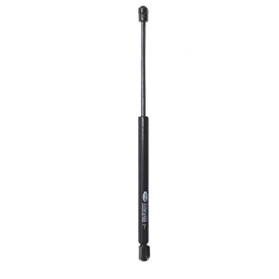 Afbeelding van Magneti Marelli Gasveer 430719066300