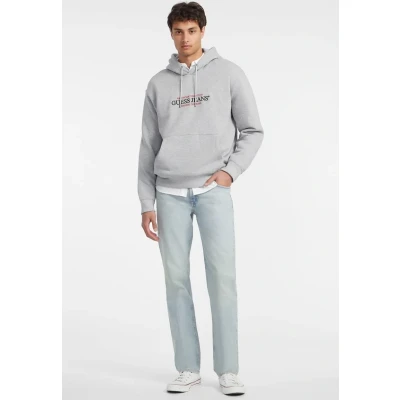 Afbeelding van Guess Jeans REG America TRAD Sweater, Heren, Maat: Medium, Grau