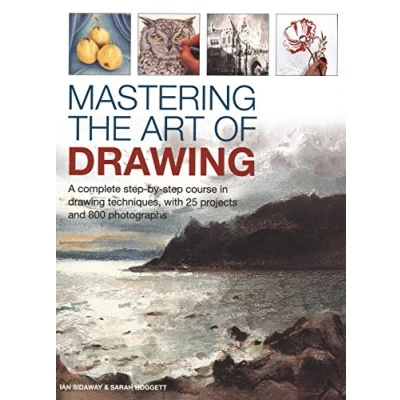 Afbeelding van Mastering the Art of Drawing