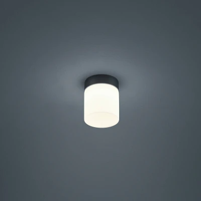 Afbeelding van Helestra Keto LED plafondlamp, cilinder, zwart