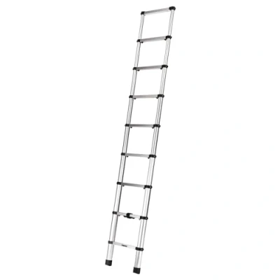 Afbeelding van Thule Ladder Van Trap Zilver Ladders