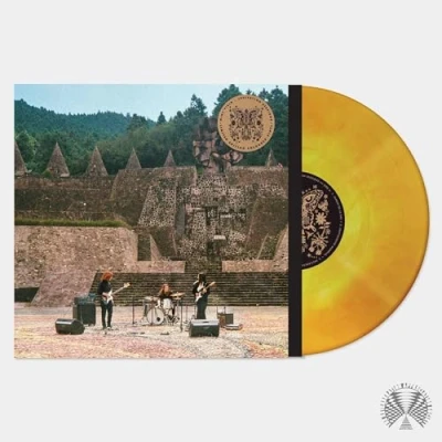Afbeelding van Mint Field Levitation Sessions (LP)
