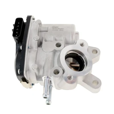 Afbeelding van DELPHI EG10536 12B1 EGR klep Zonder AGR koeler NISSAN: NP300 Navara Pickup