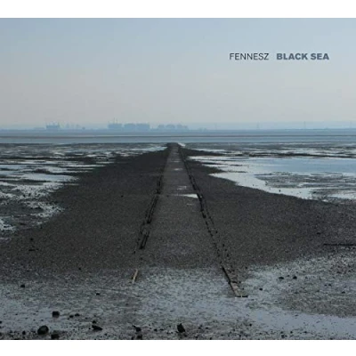 Afbeelding van Christian Fennesz Black Sea (CD)