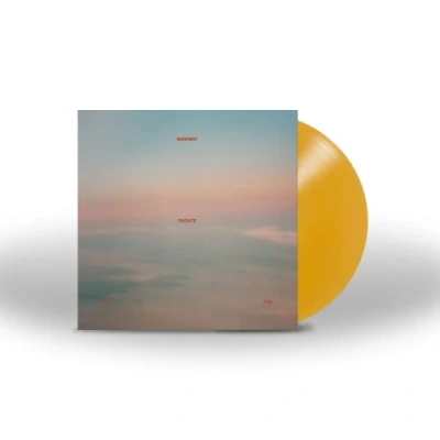 Afbeelding van Warpaint Radiate Like This (LP)