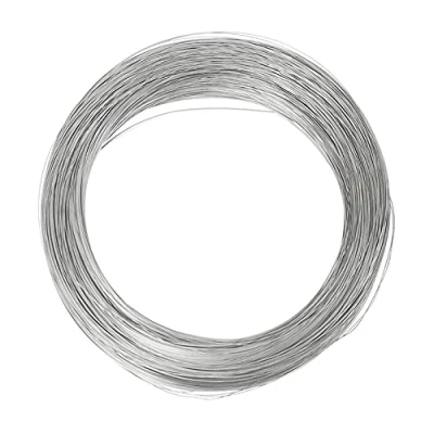 Afbeelding van 1 stuk 10 m roestvrij stalen veerdraad 0,3 mm 3