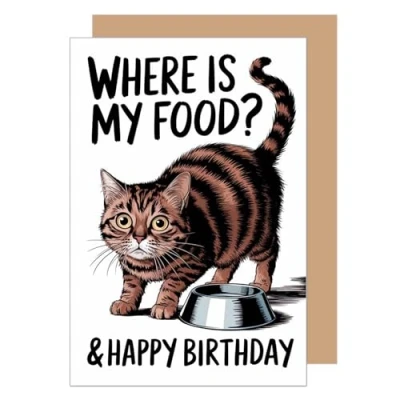 Afbeelding van Edition Seidel Hoogwaardige verjaardagskaart met envelop, wenskaart grappige spreuk, Happy Birthday, voor mannen, vrouwen, kinderen, kat, G3639 SW024