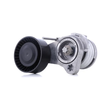 Afbeelding van Ina Spanner poly V riem 534 0252 10