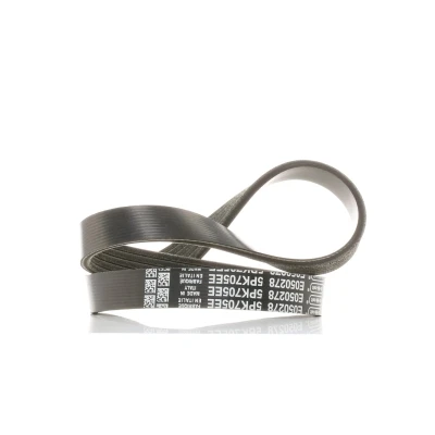 Afbeelding van Poly V riem DAYCO 5PK705EE