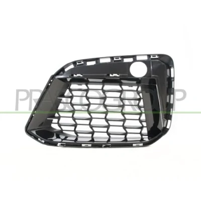 Afbeelding van PRASCO BM0552124 Bumper Grill Links voor Glanzend BMW: 5 Saloon