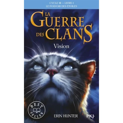 Image de La guerre des Clans cycle III Le pouvoir étoiles tome 1 vision